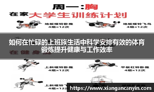如何在忙碌的上班族生活中科学安排有效的体育锻炼提升健康与工作效率